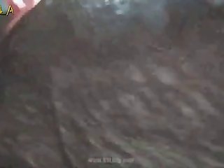 Zoofilia Mujer Y Caballo