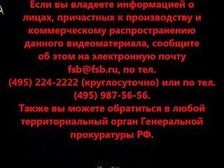 Zoofilia Argentina Porno