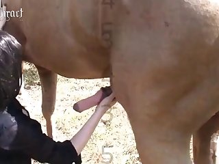 Zoofilia Hombre Con Animales