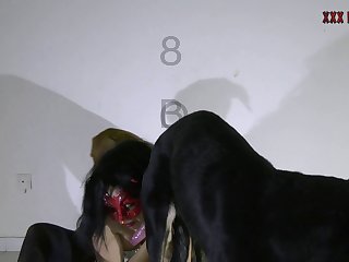 Zoofilia De Cerdo