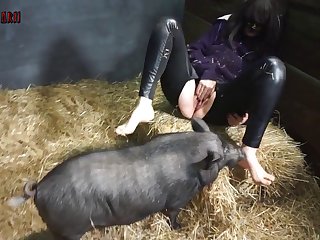 De Perrito Chiapaneca