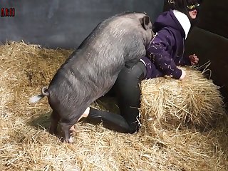De Perrito Chiapaneca