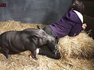 De Perrito Chiapaneca