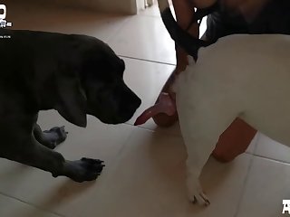 Esposa Amateur Follando De Perrito En Hilo Verde