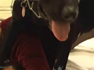 Zoofilia Hombre Con Gallina