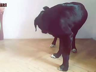 Zoofilia Jovencitas Primerisas