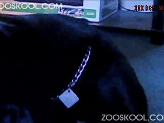 Amamantando Zoofilia