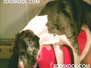 Zoofilia Con La Perra