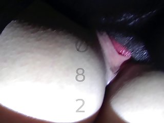 Zoofilia 2023 Porno