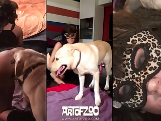 Porno Zoofilia Colombianas