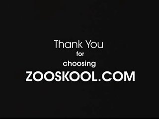 Zoofilia Anal Extrema