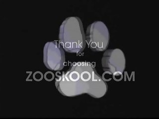 Zoofilia Anal Extrema