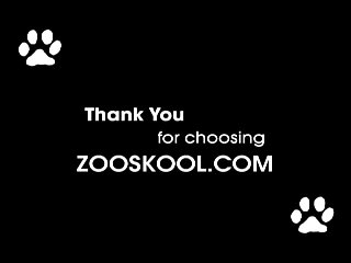 Zoofilia Gratis Brasil