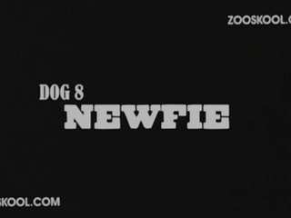 Perros Zoofilia Xxx
