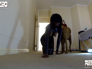 Grupos De Telegran De Zoofilia