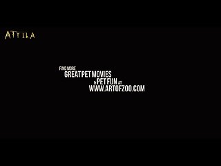 Juegos Porno Zoofilia