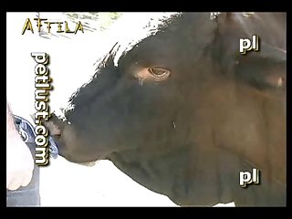 Zoofilia Gratis 2023