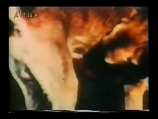 Animal Extreme Bondage Porn