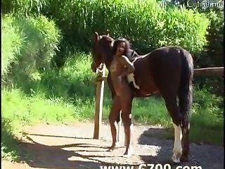 Extreme Ladyboys Porn Tube