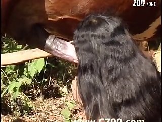 Extreme Shemales Porn