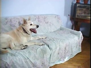 Russian Teen Extreme Porn