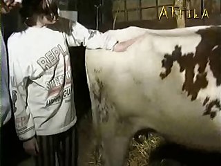 Extreme Drilling Porn