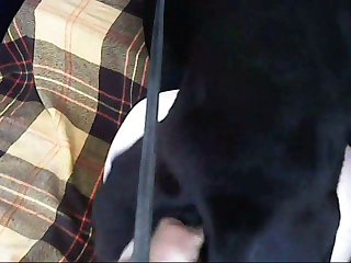 Extreme Painful Animal Porn