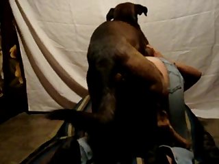 Hardcore Animal Sex