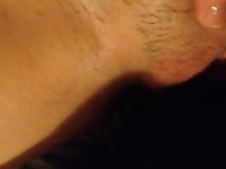 Lab Lick 3