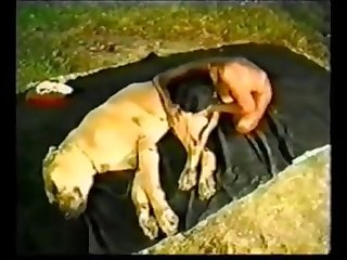 Doggie Daddy Part 5