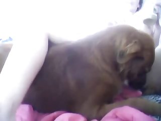 Hot Young Girl Having Her Pussy Licked