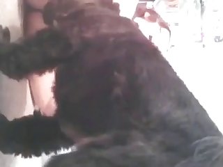 Puppy Licks Teen Pussy