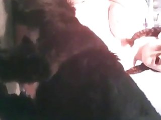 Puppy Licks Teen Pussy