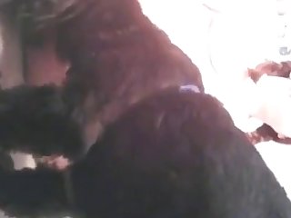 Puppy Licks Teen Pussy