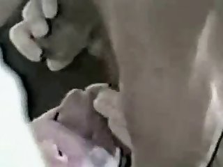 Deepthroat Dog 1