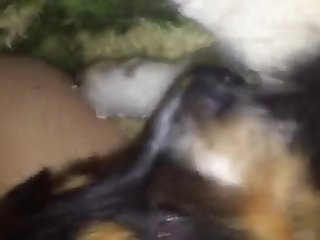Teen Asshole Licked While Asleep