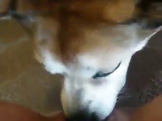 More Licking