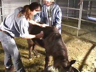 Facesitting And Farting