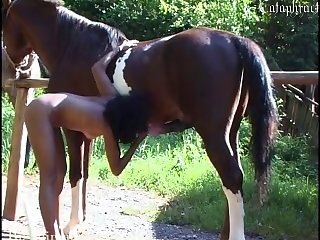 Dog Licking Cock Cum