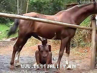 Kinky Dogs Porn
