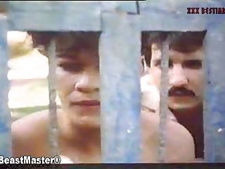 Animel Sex