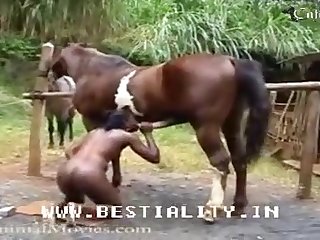 Anime Girl Gets Fucked By Horse