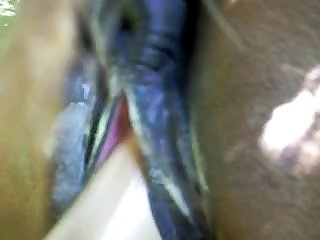 Girl Having Sex With Dolphin