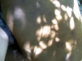 Girl Having Sex With Dolphin