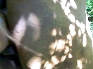 Girl Having Sex With Dolphin