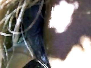 Girl Having Sex With Dolphin