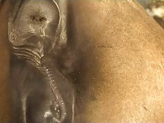 Mexican Mom Sucking Dick