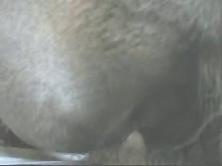 Artpfzoo