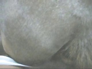 Artpfzoo
