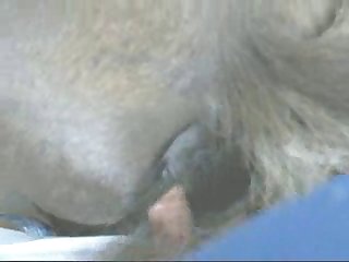 Artpfzoo
